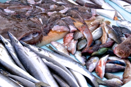 Etales de poissonniers sur le vieux port de Marseille. Crédits photos : Isabelle Artus.