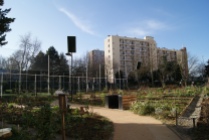 Jardin partagé des Nouzeaux à Malakoff. Crédit photo : Isabelle Artus